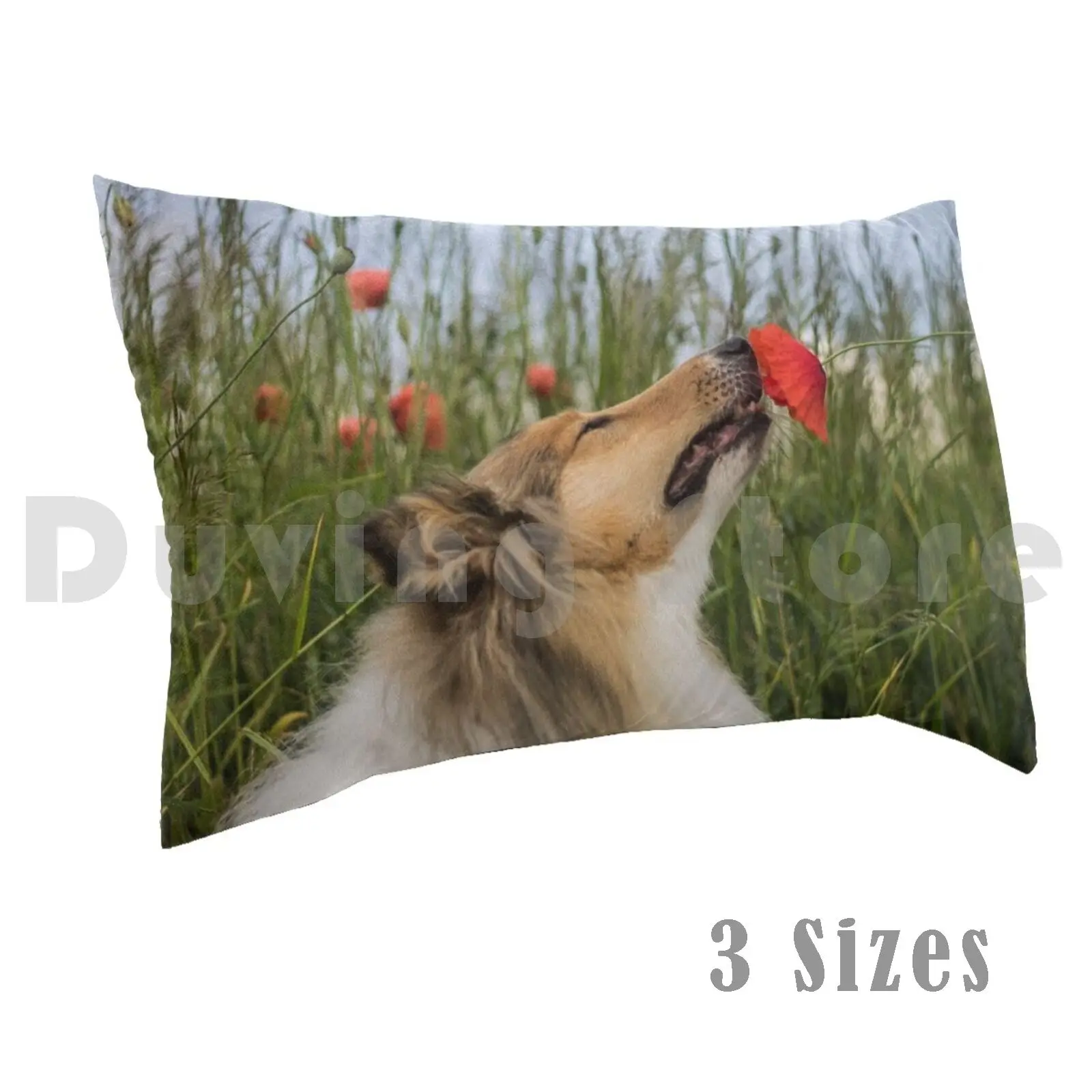 Cute Rough Collie Sniffing To A Poppy Pillow Case Printed 50x75 Collie Dog Rough Collie Poppy Cute Adorable