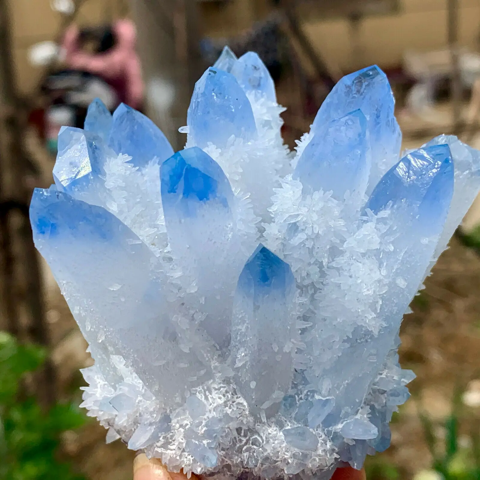 Brand-new find sky blue Phantom quartz crystal cluster ore sample cured