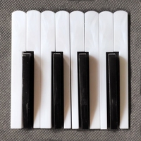 Accordion Black-and-white Keyboard Accessories Professional Maintenance, A Variety of Models Supporting a Combination of 120Bass