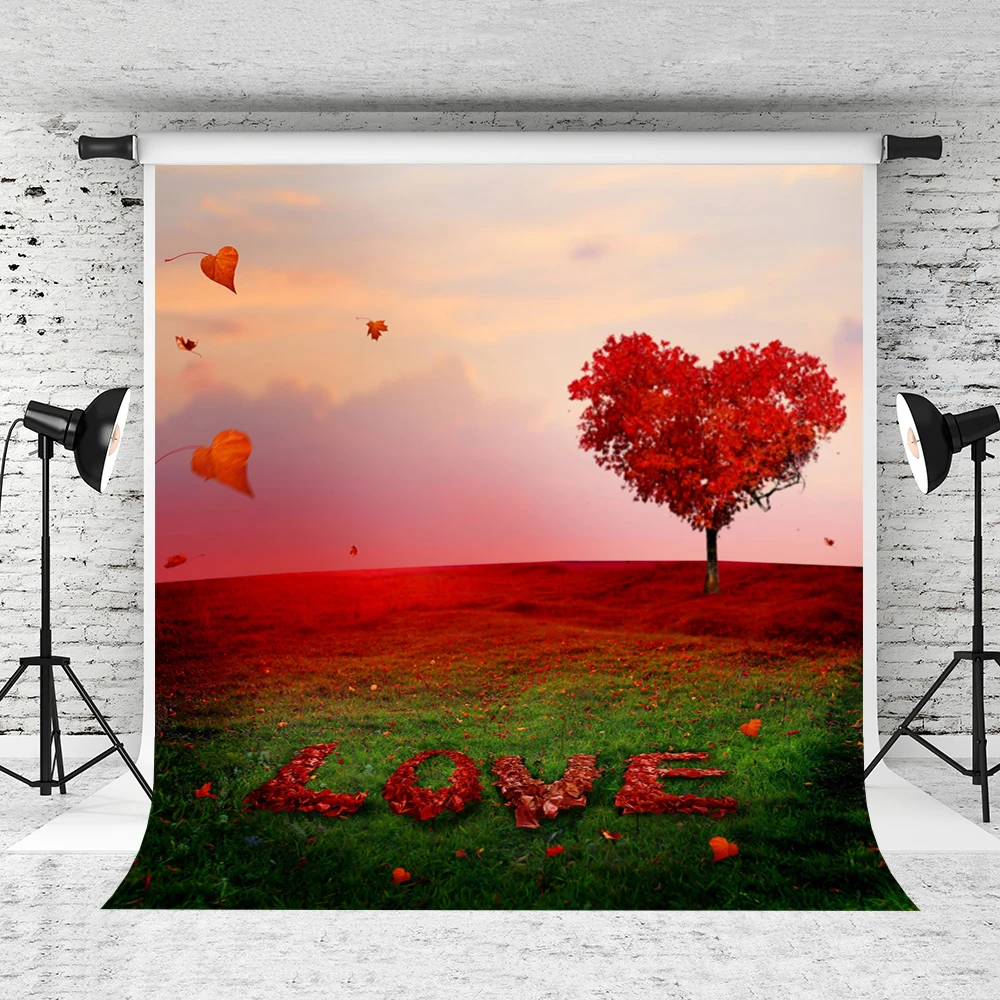 VinylBDS 5x7ft Valentine'S Day Photo Studio Backdrop Background Wedding Photography Studio Cotton Love Photography Backdrop