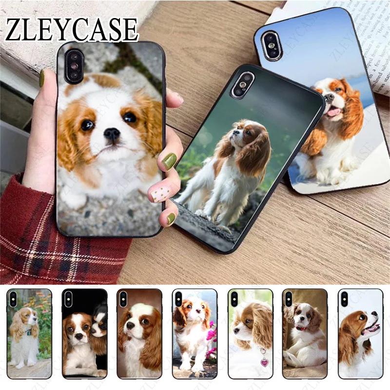 Cavalier King Charles Spaniel Dog Phone Cover For iphone 13pro 14pro 15pro 12pro 11pro xs max 7 XR 12mini 15plus 13mini SE Cases