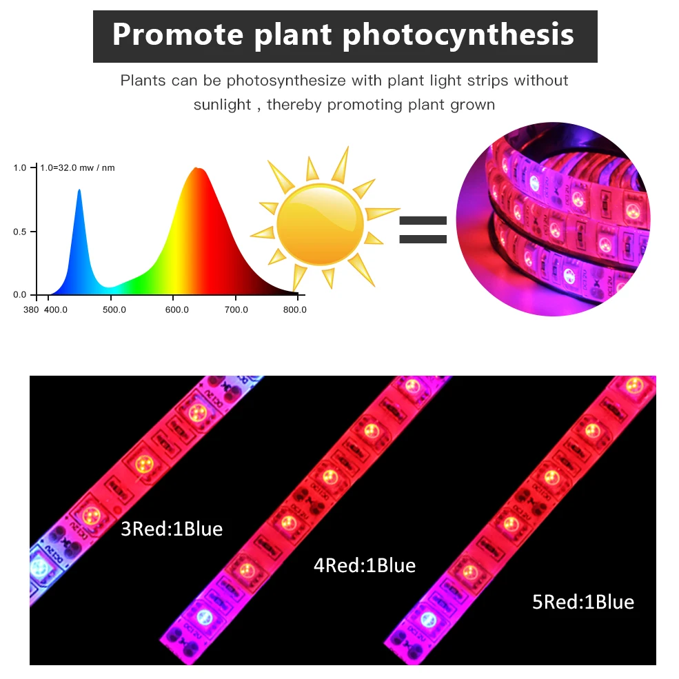 كامل الطيف Phytolamp للشتلات الأحمر الأزرق Led تنمو ضوء 5 متر/لفة تيار مستمر 12 فولت نباتي للنباتات مقاوم للماء 5050 رقاقة 5-20 متر