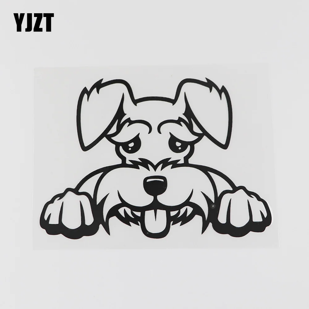 YJZT 13.7CMX9.5CM Cartoon Schnauzer Peeking Decal Vinyl Car Sticker Black/Silver 8A-0609