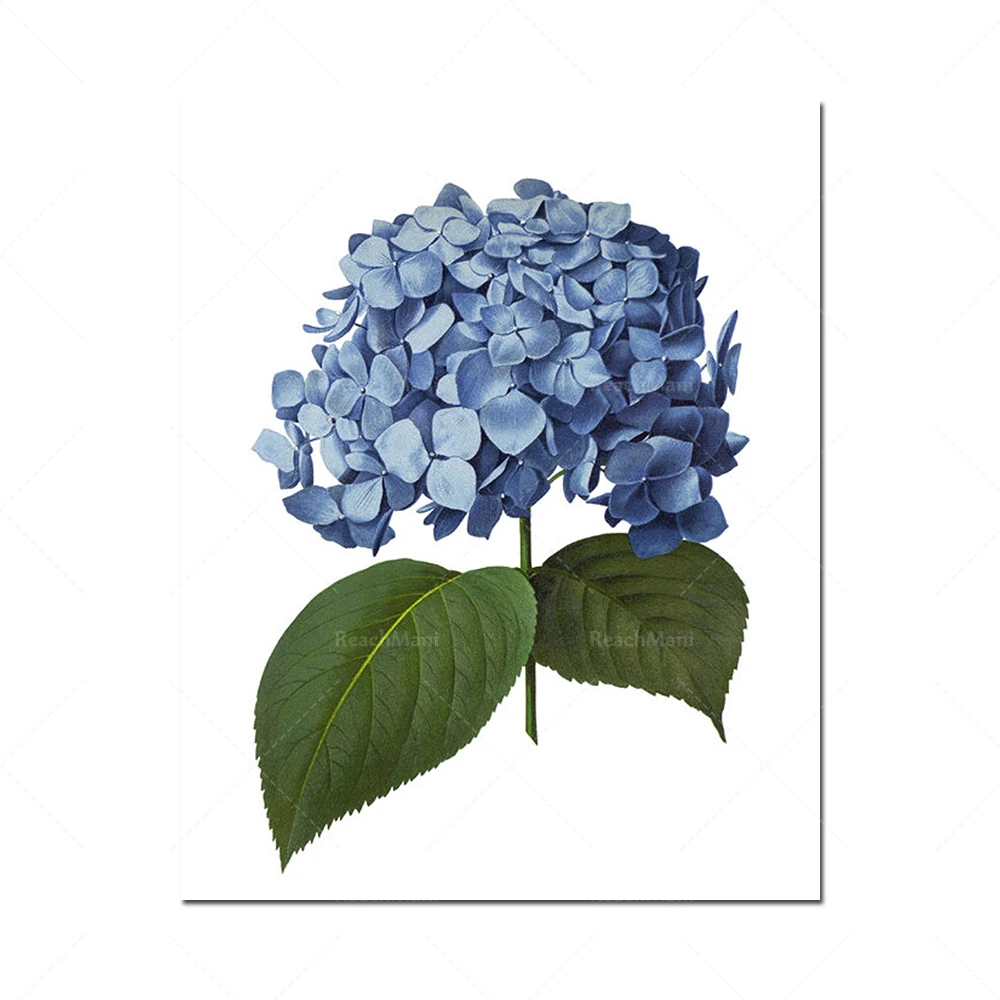 Fleurs bleues imprimables، 4 مجموعة الاسمية، الرسوم التوضيحية دي فلورز ريترو، النبات الفني