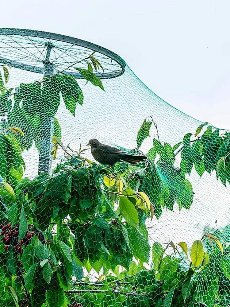 Agricultural Protection Network Gardening Net Garden Fence Bird Net Breeding Net Anti Bird Protect Tree Net Fruit Plant Pond Net