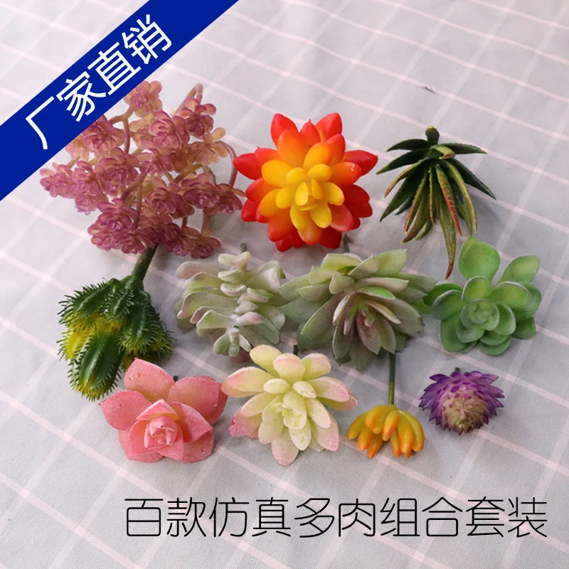 

Beautiful simulation of succulent plant false flowers, a full range of indoor home furnishing ornaments combination of small