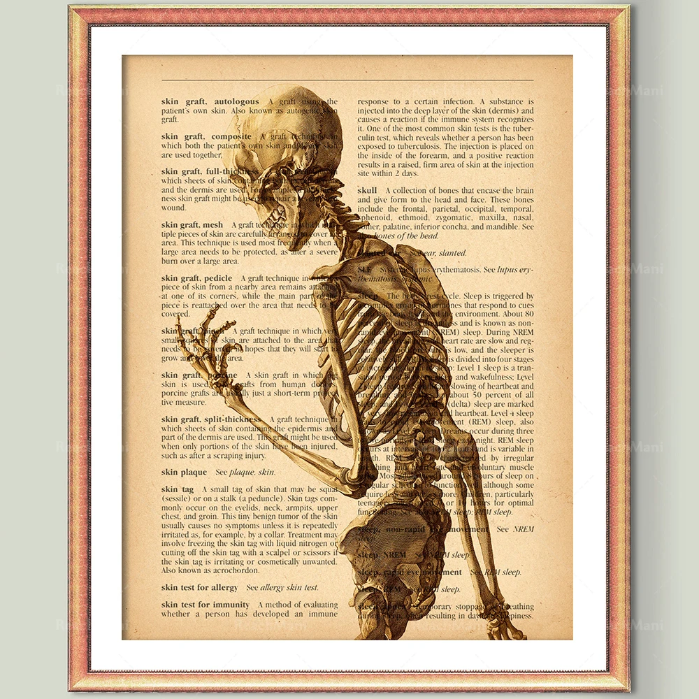 Chiropractor Gift Poster, Vintage Anatomy Art, Medical Dictionary Painting Art, Medical Decor, Chiropractic Clinic Wall Art