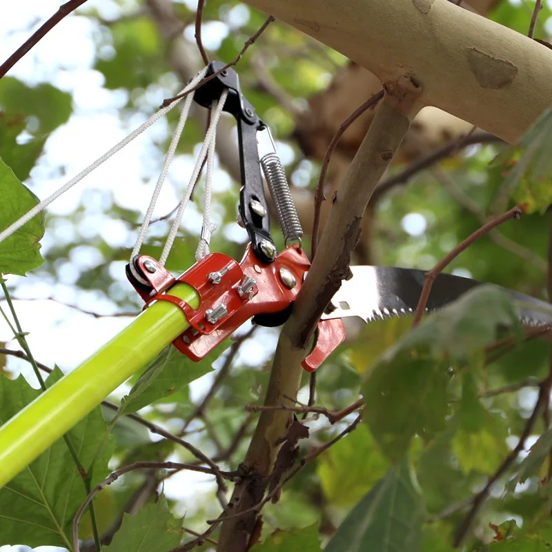 Poda de alta altitude alongamento árvore de fruto jardim pomar serra de alta filial frp isolado tesouras telescópicas