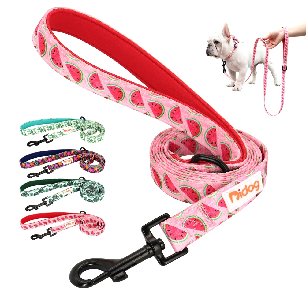 Laisse en Nylon pour chien, imprimée, douce, rembourrée, pour petit, moyen et grand gabarit, Chihuahua, Pitbull, mode, 5 pieds