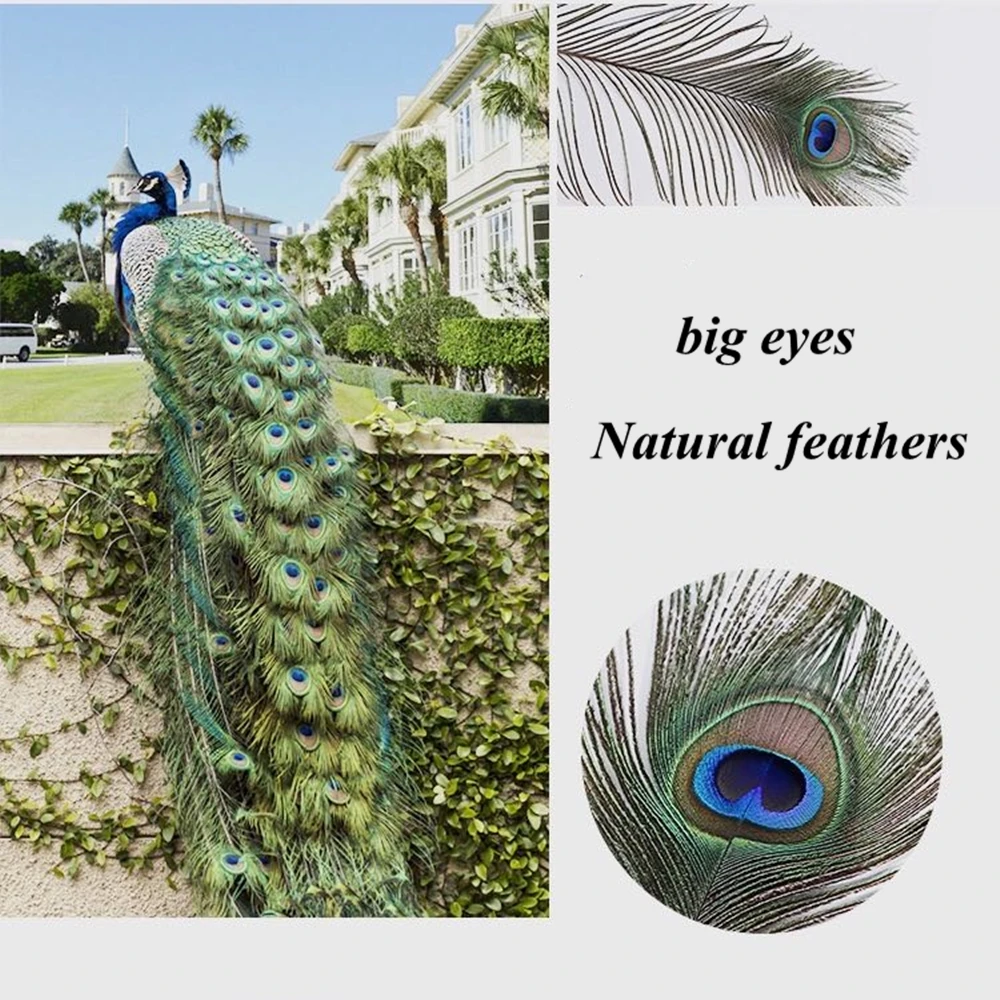 Wholesale 60-70cm Natural Big Eyes Peacock Feathers 50/100PCS for Vase Crafts Jewelry Accessories Home Party Decoration Plumes