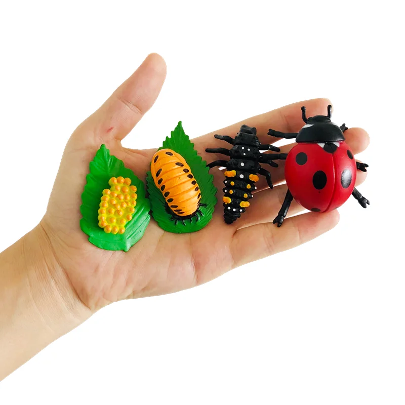 Montessori Ladybug Life Cycle Game Figures and Cards  Biology Language Learning Resources Early Childhood Educational Materials