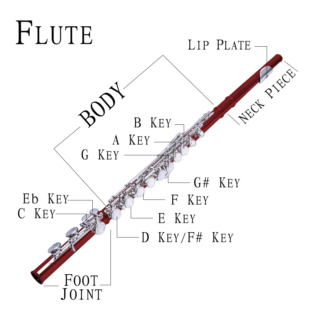 16 Closed Holes C Flute Cupronickel Nickel-Plated Concert Flute Instrument w/Carring Case+Tuning Rod And Gloves+Joint Grease