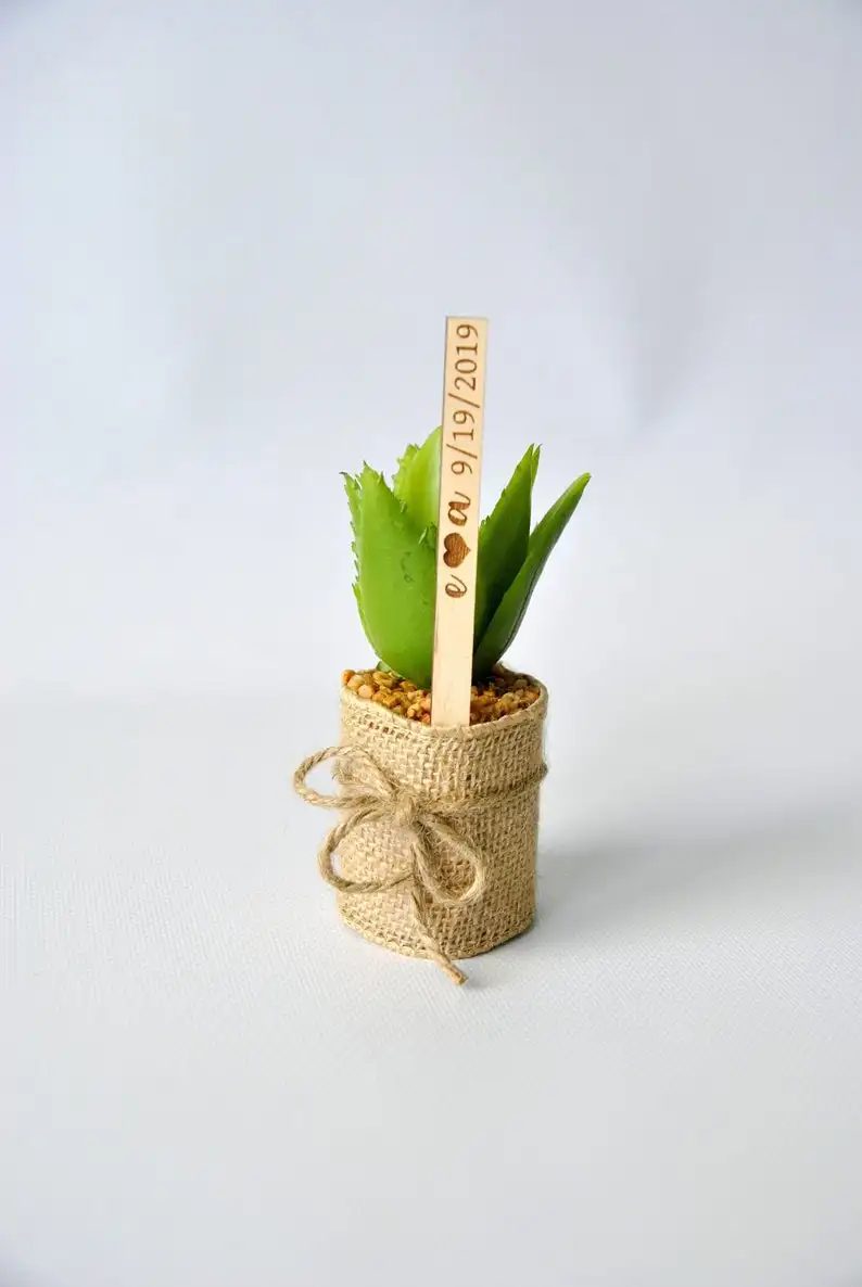 

Thank You Succulent Tag, Succulent Stakes, Wedding Bridal Shower Favor, Baby Shower Favor, Succulent Favor Tags, Place Names, S