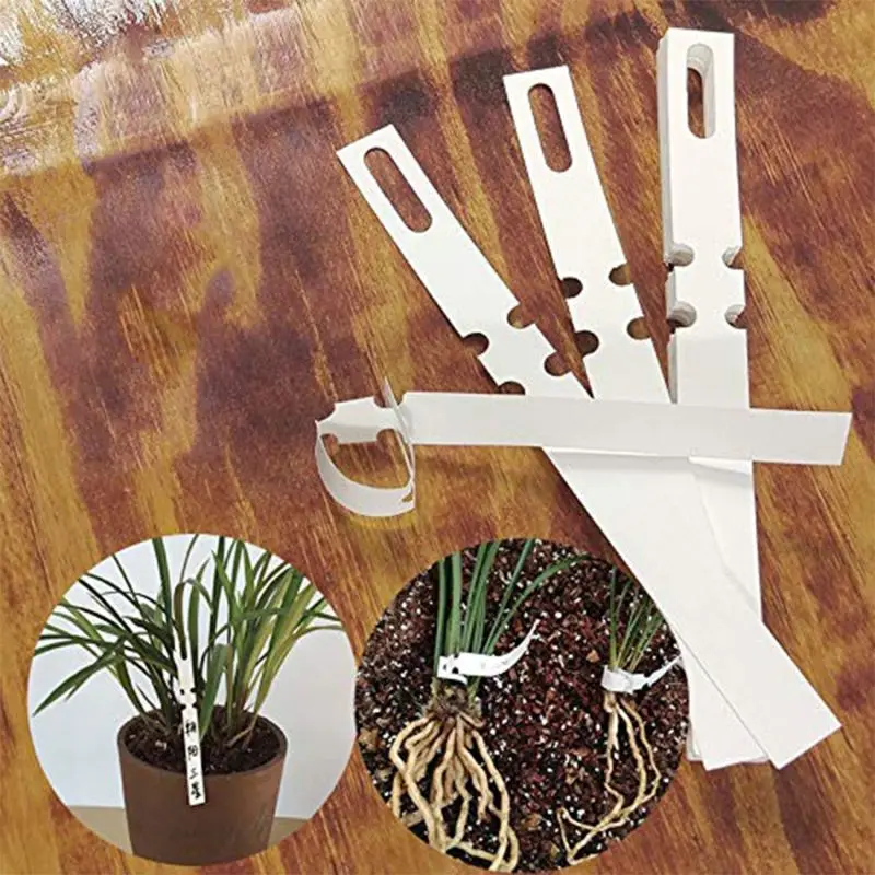 Garden Stakes 100 Pcs White Plastic Plant Tree Tags Nursery Garden Lables 2x20cm Wrap Around Hanging Tags Nursery Large Writing