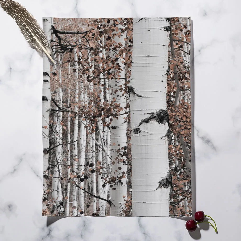 Birch Forest High Way Mountain Flower Wall Art Canvas Painting Nordic Posters And Prints Wall Pictures For Living Room Decor