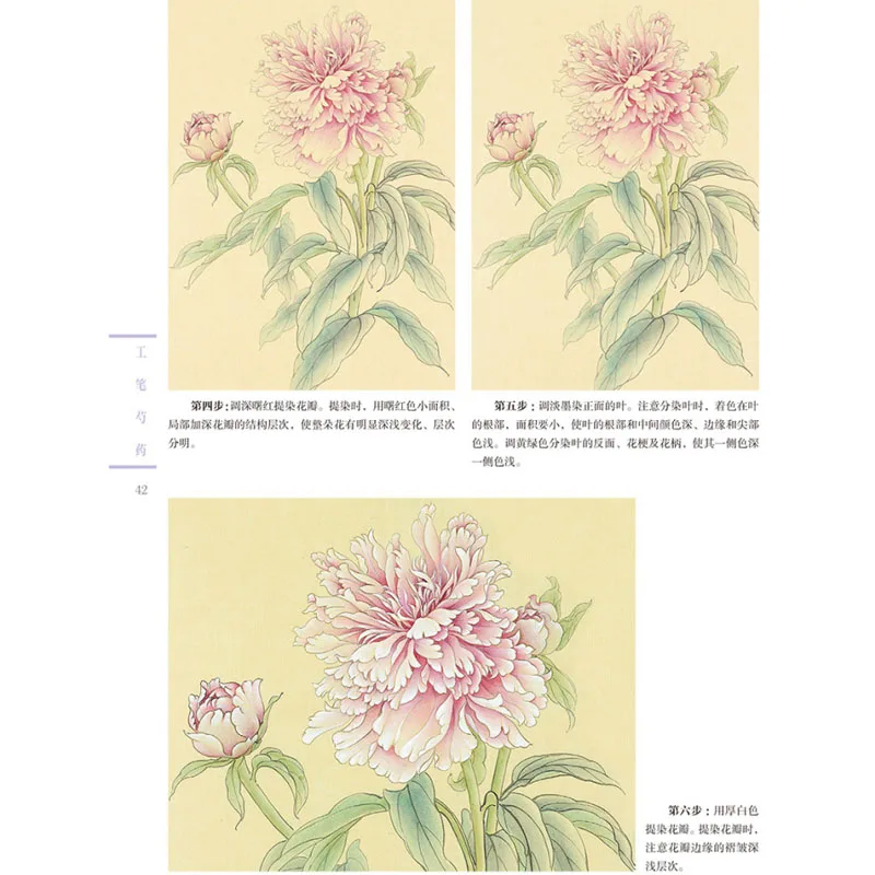 Gongbi Flor Peônia Desenho Tutorial para Adultos, Pintura Tradicional Art Book, Pintura Chinesa