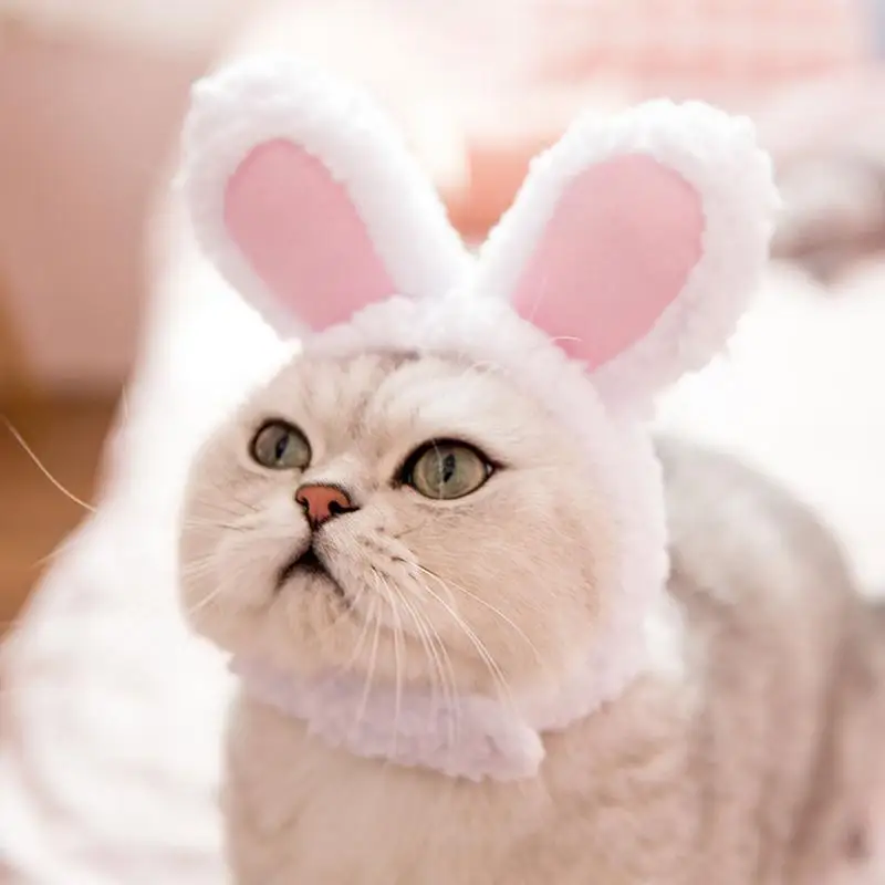 Funny Pet Dog Cat Wig Costume Warm Rabbit Hat For New Year Birthday Party Christmas Cosplay Accessories Props Puppy Headwear