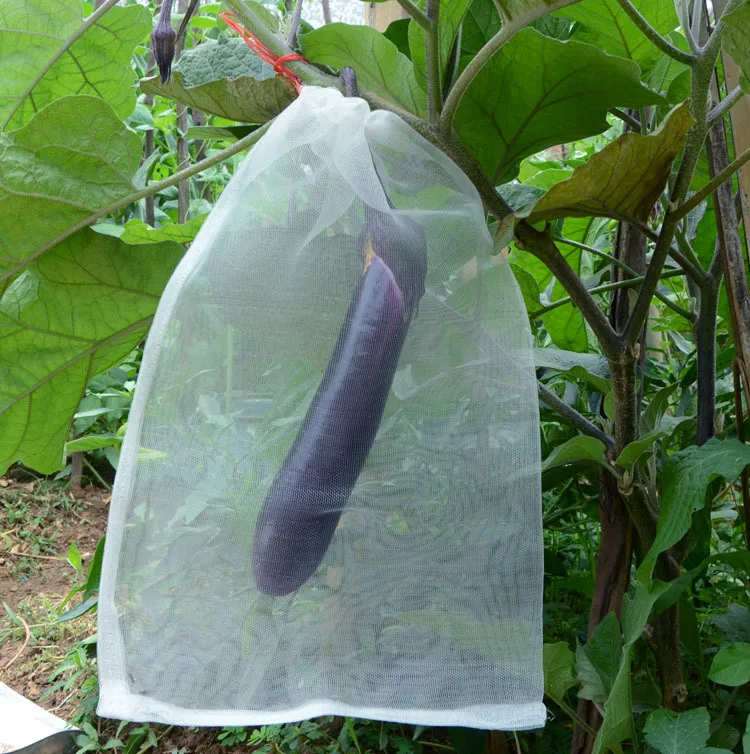 Insect proof net bag melon and fruit fly proof bird proof bag filter seed soaked grape fruit bag nylon net bag