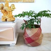 Handmade Woven Planter Basket Straw Rattan Storage Basket Flower Pot Desktop Container Seagrass Flowerpot Home Garden Decoration