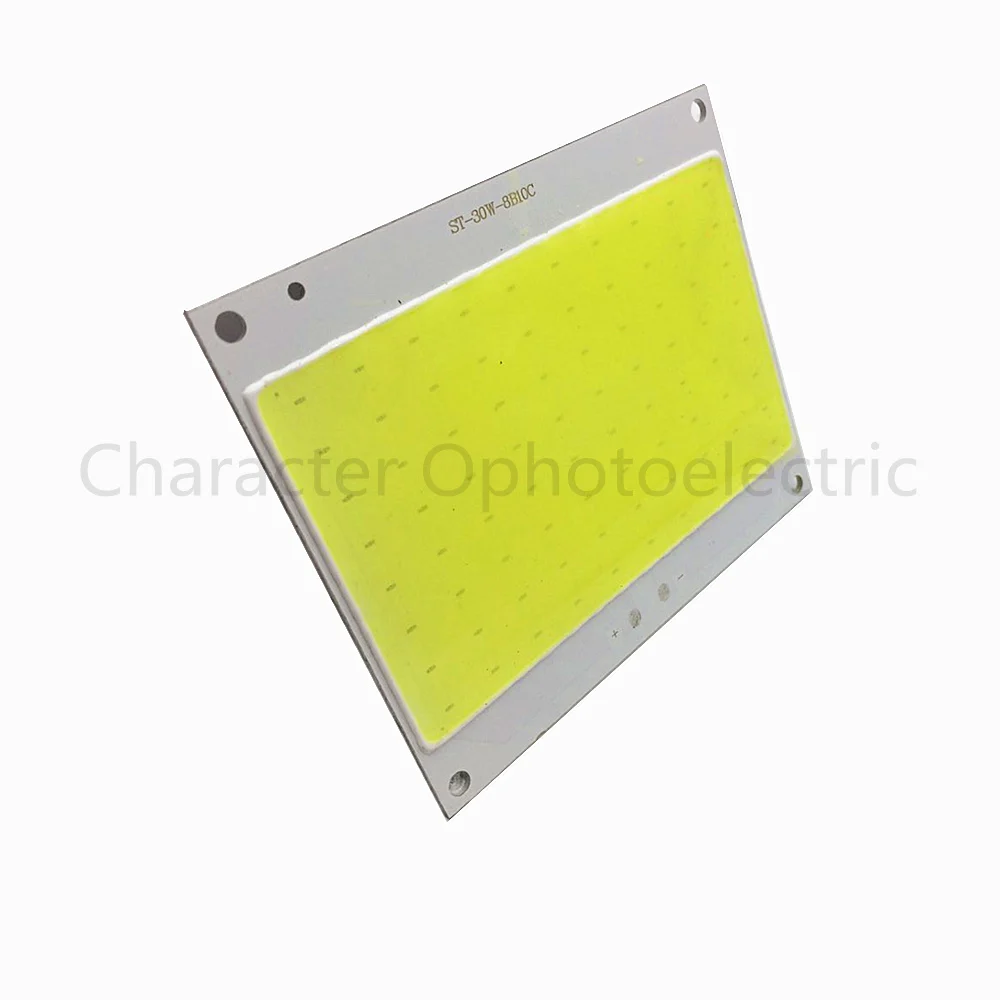 

5 PCS 30W 30-36V Ultra Bright COB LED White Light Lamp source Chip lighting