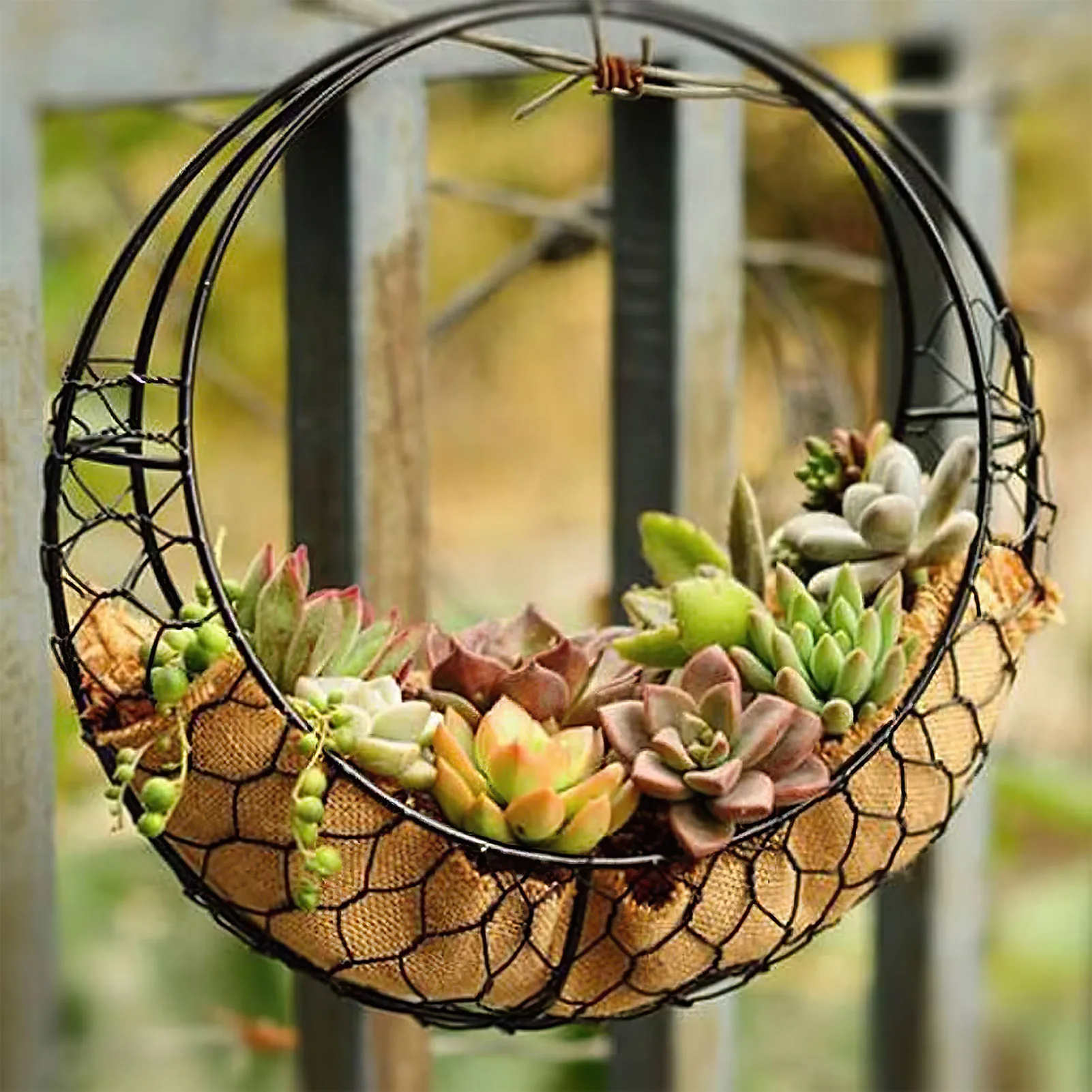 Home Succulent Iron Wreath Moon Shaped Metal Hanging Planter Moon Shape Iron Wire Succulent Pot For Home Garden Decoration