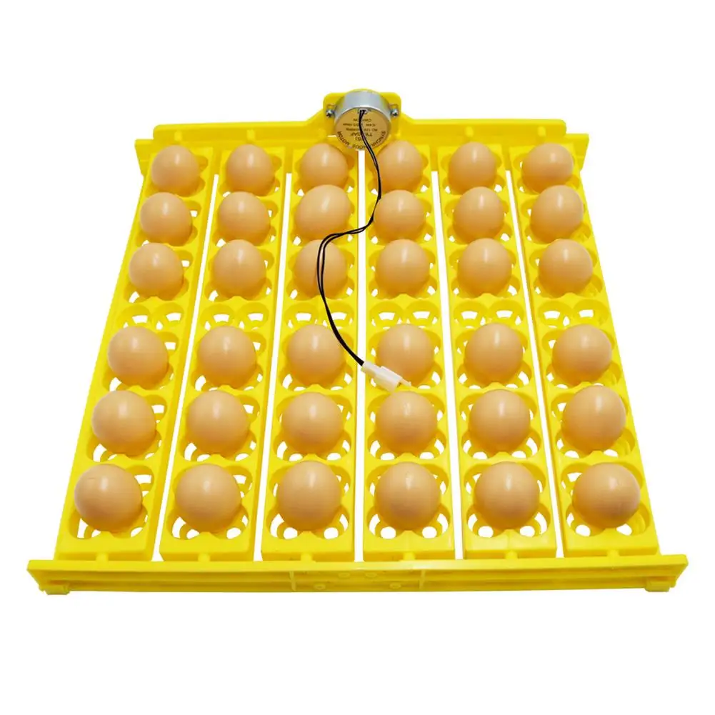 110V/220V/12V Egg Incubator Automatic Quail Egg Incubator With Rotating Motor 36/154 Bird Egg Tray Chicken Egg Turner