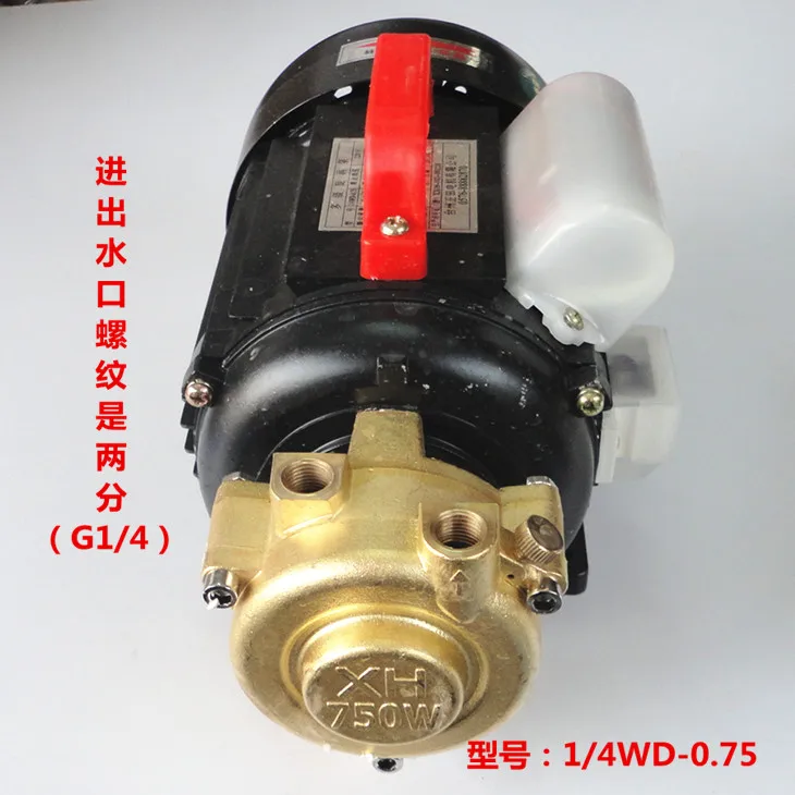 1 / 4wd-0.75 multistage vortex pump electric steam generator boiler accessories high pressure water pump 220V