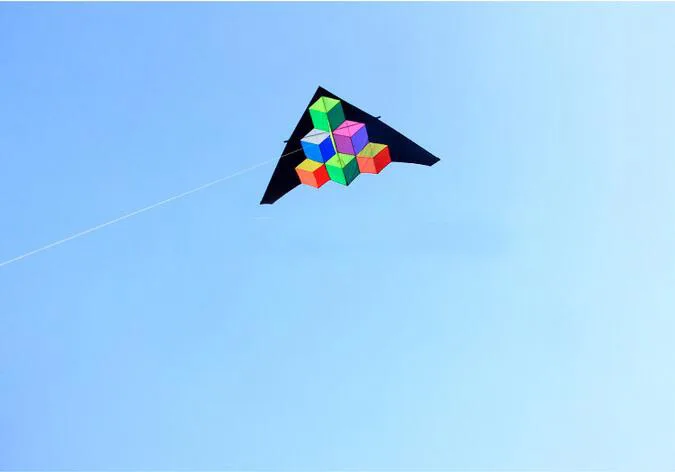 Aquilone di grande forma geometrica di 2.8M per l'aquilone di linea singola del triangolo di delta di divertimento all'aperto di audlts trasporto libero
