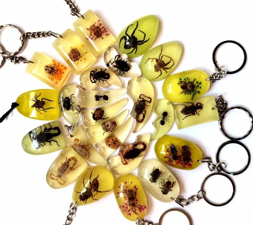 YQTDMY 12 pcs mixed style insect scorpion bee keychain Insect Specimen keychain Crafts