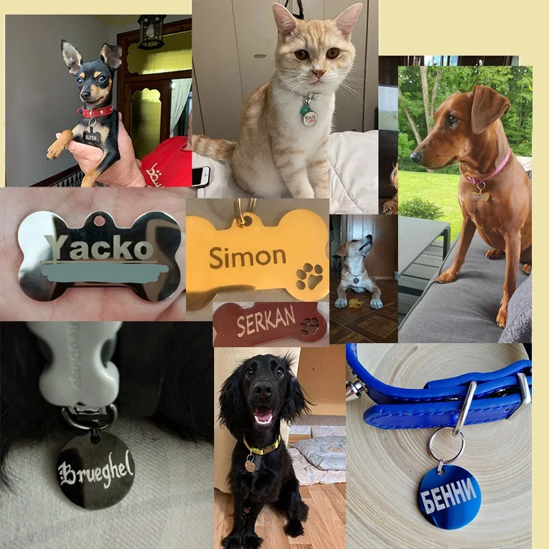 Etiqueta de identificación de mascota, llavero grabado gratis personalizado para gato, cachorro, perro, llavero colgante, pata de hueso, accesorios