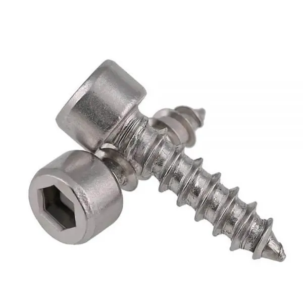 

Wkooa Stainless Steel 304 Audio Mold Screws Hex Socket Self Tapping Screws
