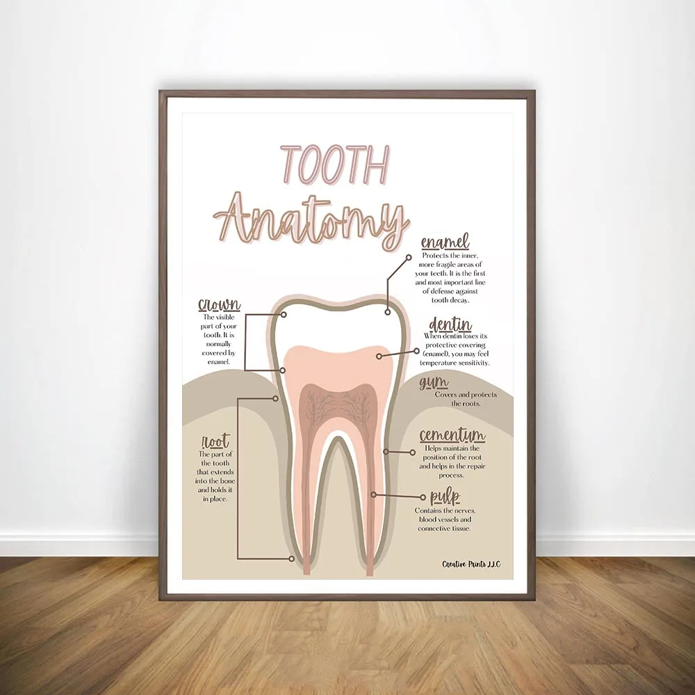 

Human Medical Tooth Anatomy Science Vintage Posters Art Prints Nordic Canvas Painting Wall Pictures Medical Doctor Clinic Decor