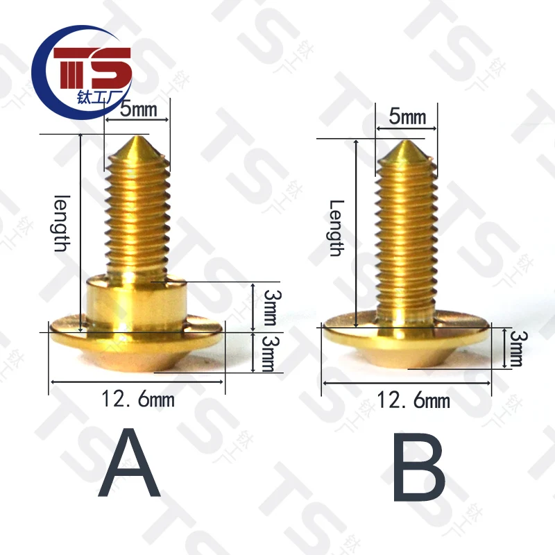 TS Titanium Bolt Motor Bike Rear Brake Rotor Screw M5X10/12/14mm for Suzuki Motor Bike Accessory（1pc）