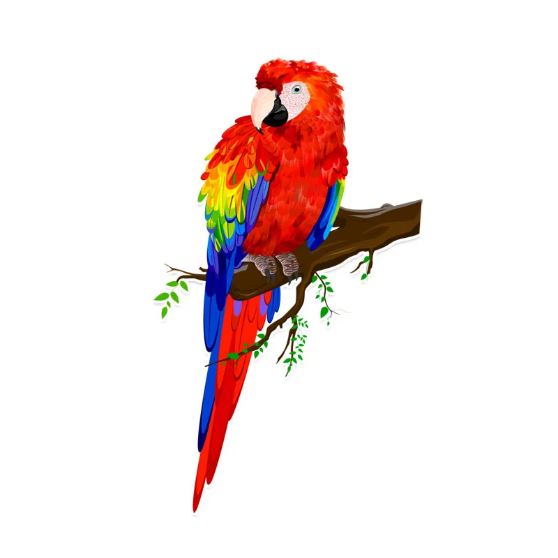 Small Town 9.9*16.7CM Beautiful Parrots Decor Colored PVC Car Sticker Personalized High Quality 11A0146