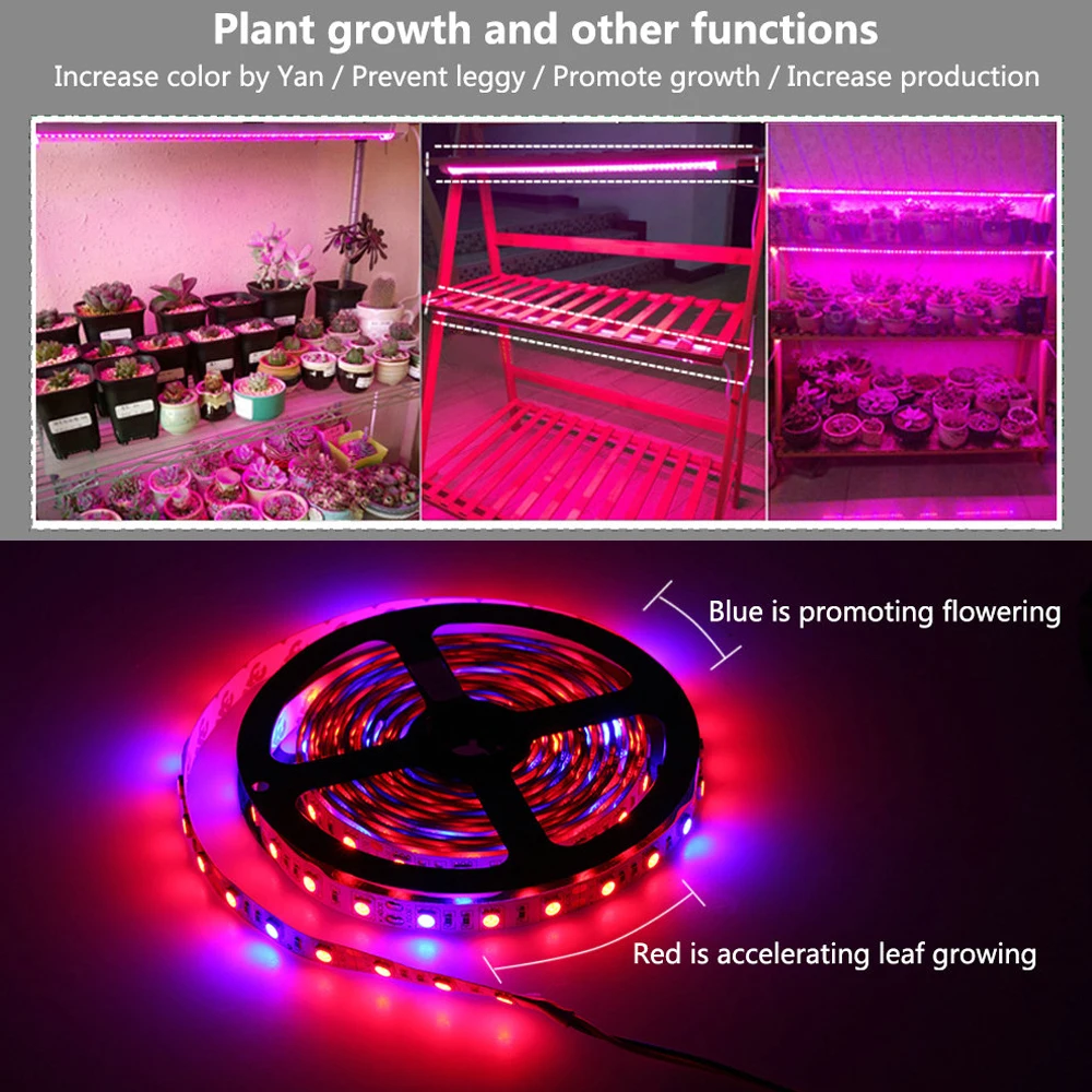 Imagem -04 - Indoor Led Crescer Luzes Dc12v 5630 à Prova Impermeável Água Crescente Led Strip Planta Crescimento Conjunto da Lâmpada 1m 2m 5m com Adaptador e Interruptor