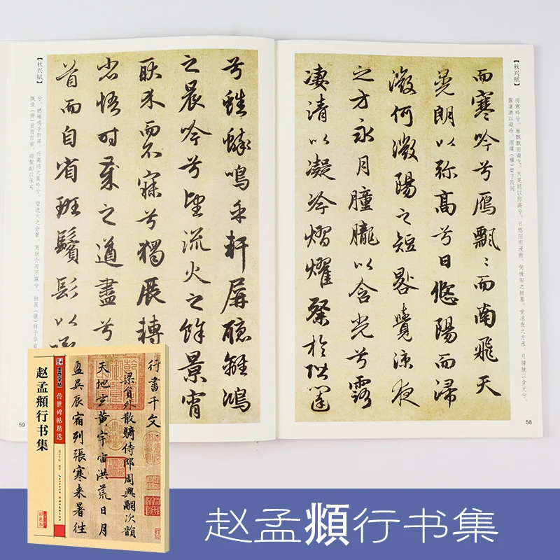 

Copybook Zhao Mengfu's Character Set in Running Script Stone Inscription Circulated Tablet Chinese Beginners Brush Calligraphy