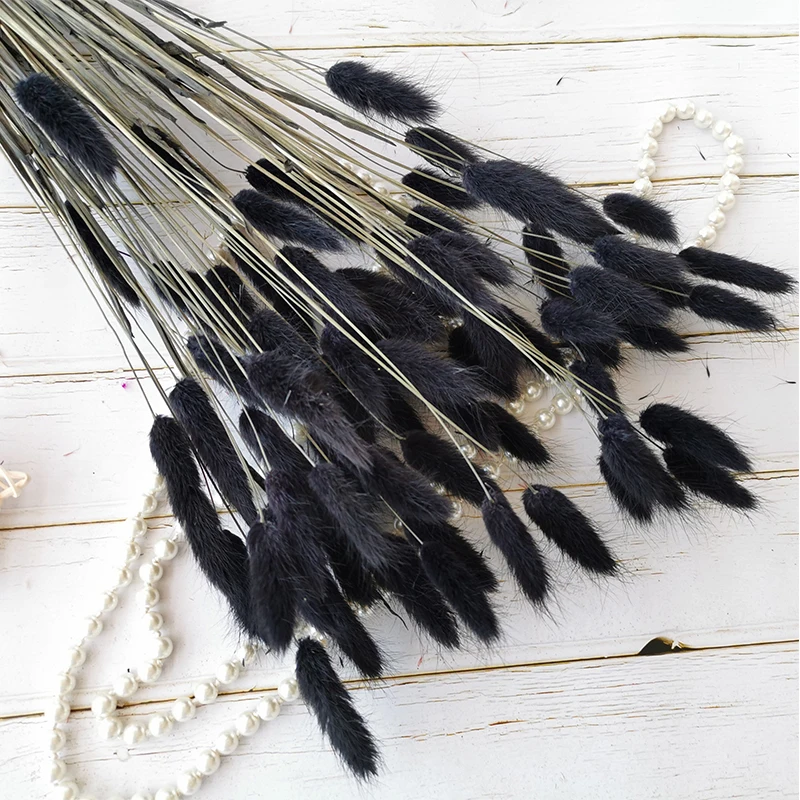 

10pcs Black White Rabbit Tail Grass Dried Natural Flowers Dog Tail Grass Fleur Sechee Naturelle Wedding Marriage Decoration