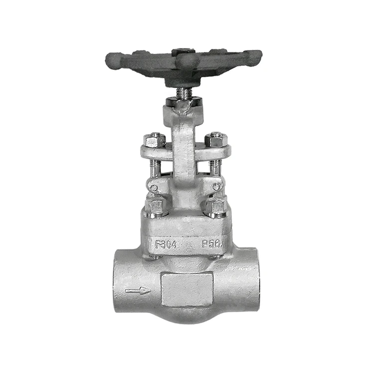 Forged steel stainless socket welded globe valve tapered plunger disc throttle needle type   inflatable/ jis  snow globe valve