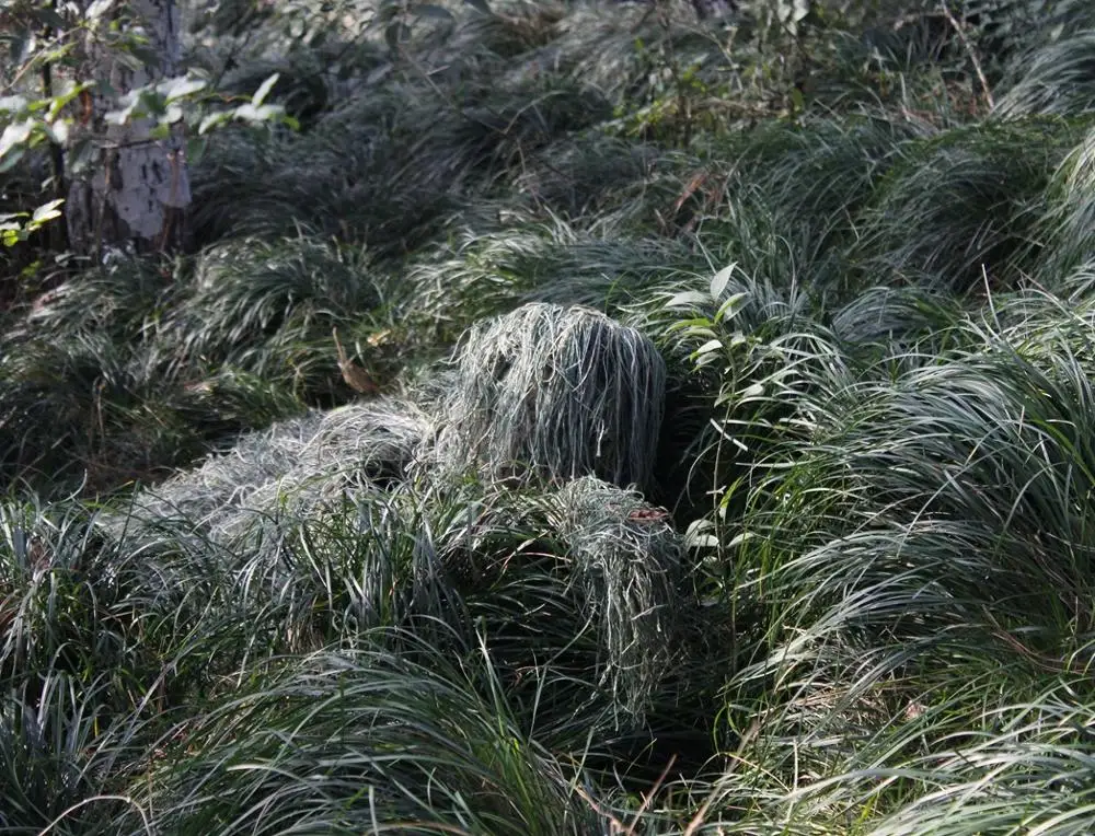 Winter 3D White Snow Ghillie Suits Sniper Tactical Woodland Hidden Clothes Universal Camouflage Set view 5