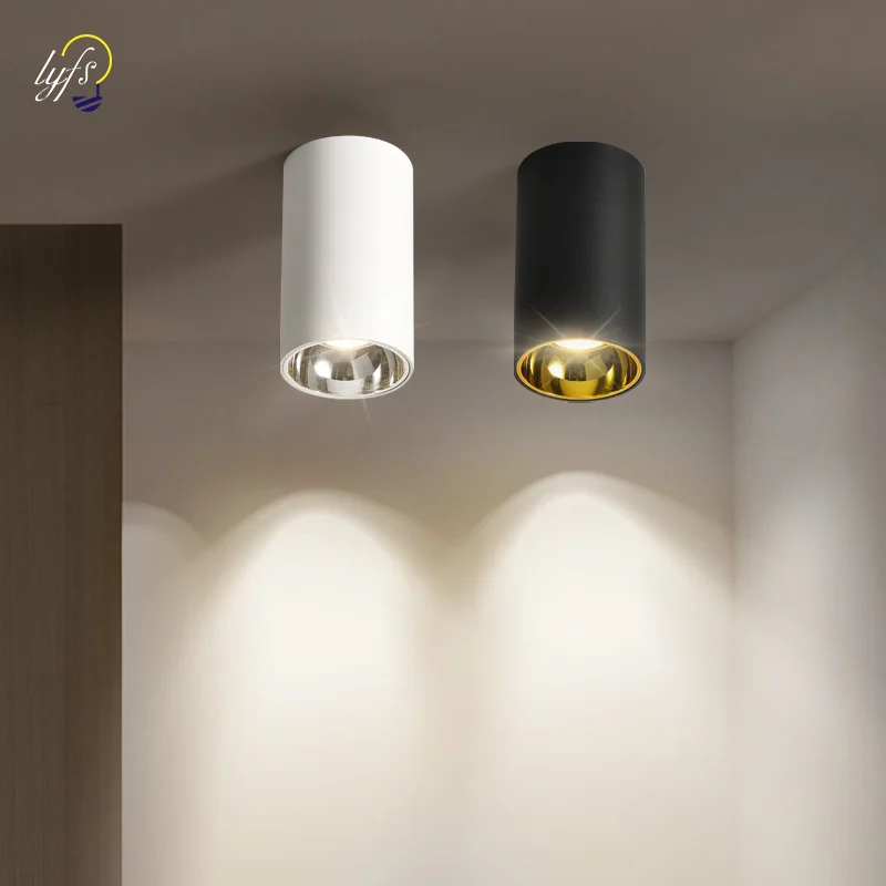

LED Ceiling Light Indoor Lighting Down Lights For Home Living Room Kitchen Bedroom Fixture Spotlight Dining Tables Decorative