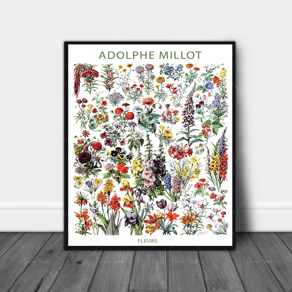 Vintage Flower Print, Adolphe Millot Print, Vintage Museum Print,Exhibition Poster, Wild Flower Print, Natural History Poster