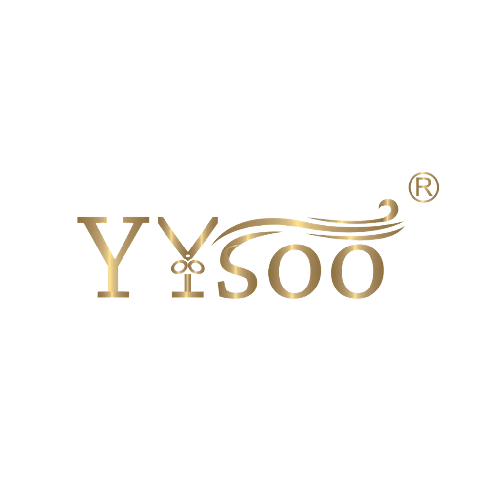payment link