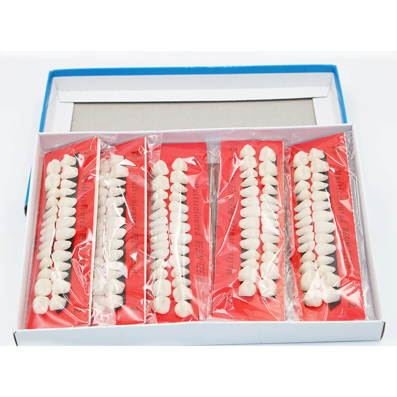 10 sets Dental Material Plastic Teeth Teaching Model Dedicated Teeth Dental Material Useful Teeth Care Dentist Tools A2 Type