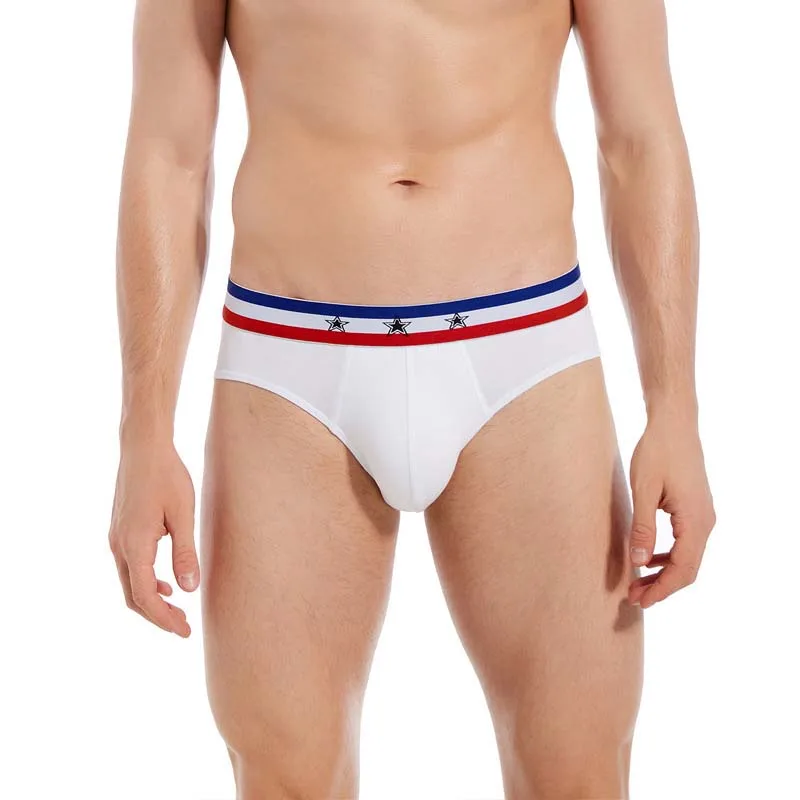 Men Underwear Bikini Sexy Fashion Men's Briefs Cotton Comfortable Breathable U Convex Male Panties Sexy Male Underpants