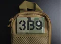 3B9
