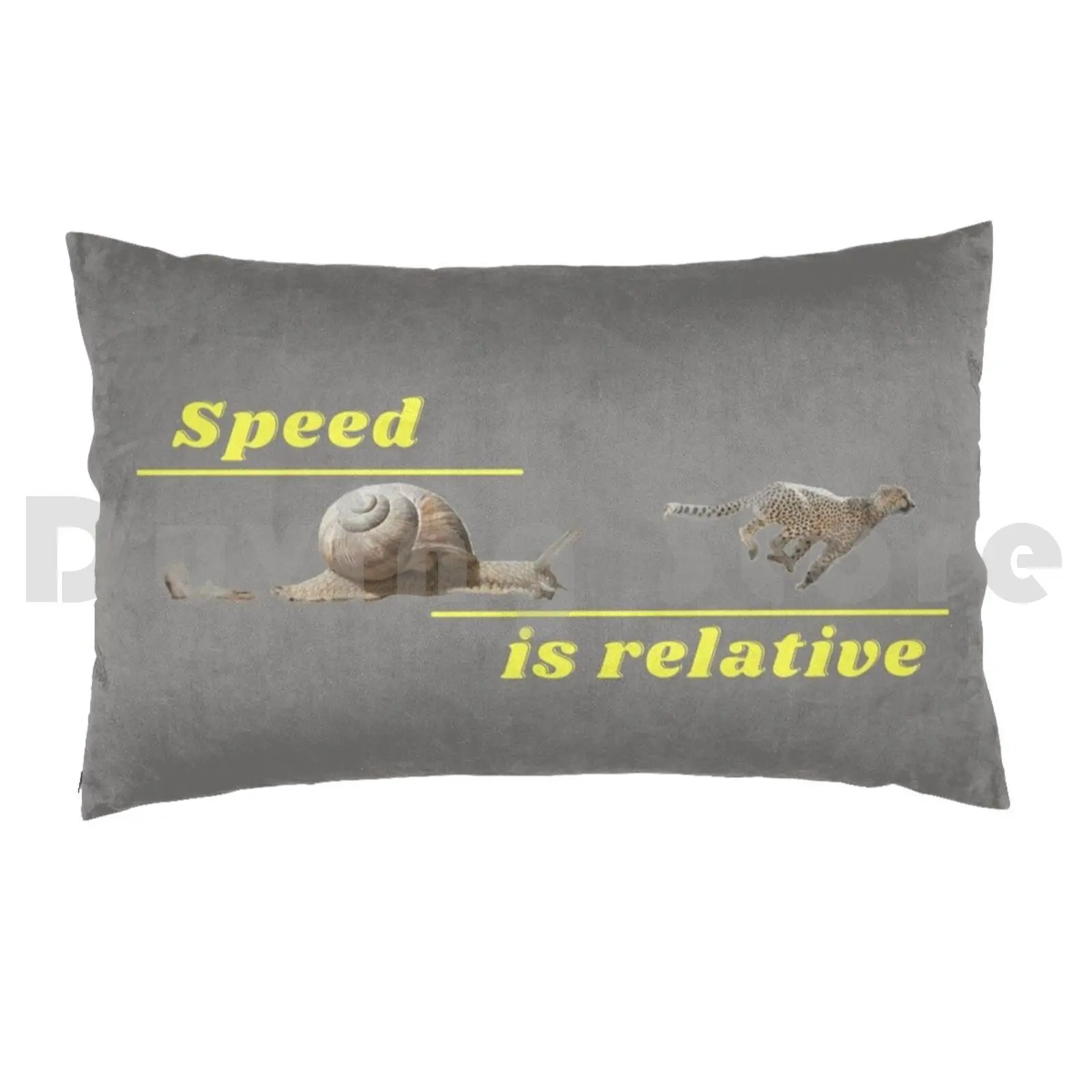 Speed Is Relative Snail And CheetahPillow case Snail Slow Relative Nature Animal Slowest Funny