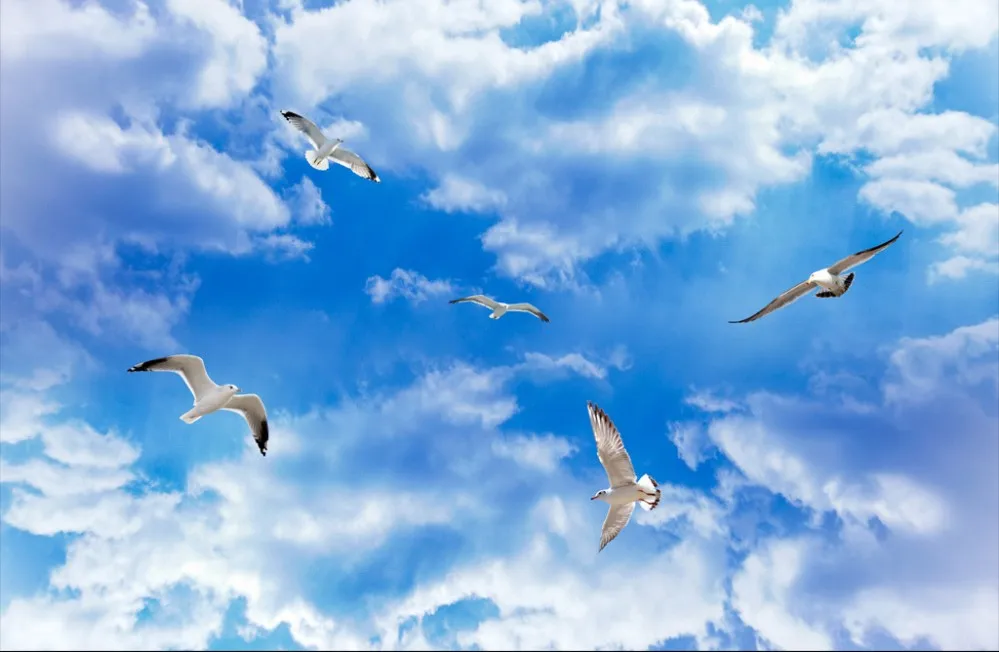 

blue sky white clouds living room bedroom ceiling mural 3d ceiling murals wallpaper