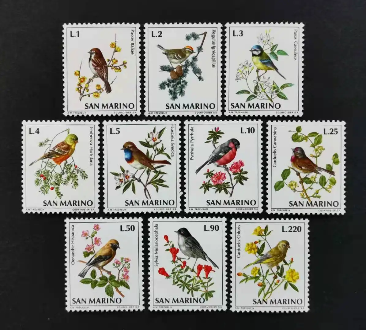 10Pcs/Set New San Marino Post Stamp 1972 Birds Flowers Stamps MNH