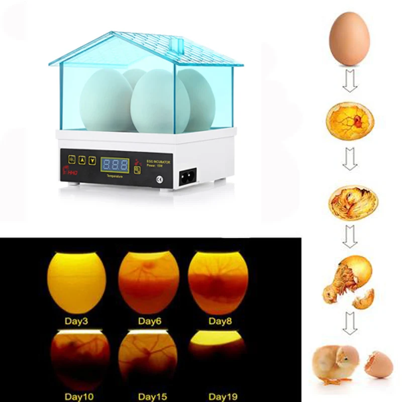 Imagem -04 - Totalmente Automático Mini Egg Incubadora Máquina Torneamento Brooder Frango Codorna 98 Taxa de Incubação Pcs