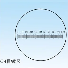 Diameter 19mm Microscope Slides Reticle Calibrating Slide Ruler  Microscope Calibration Ruler Stage Micrometer